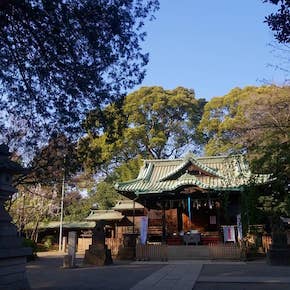 代々木八幡宮（渋谷区）