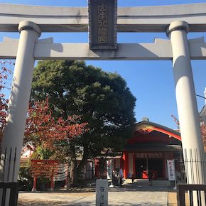 山本八幡宮（八尾・柏原）