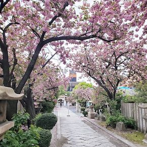 櫻宮神社（大阪市都島区）