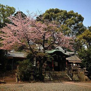 郡神社（高槻・茨木・摂津）