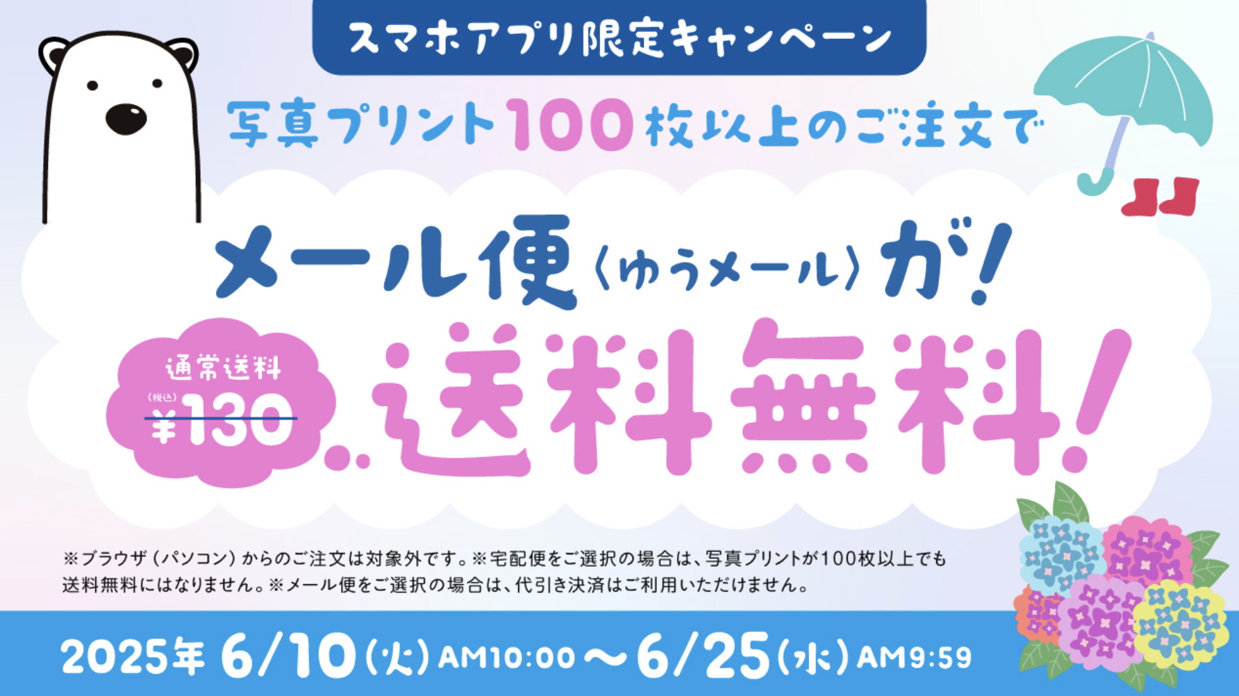 2025年6月_しろくまフォトのクーポン・キャンペーン.jpg